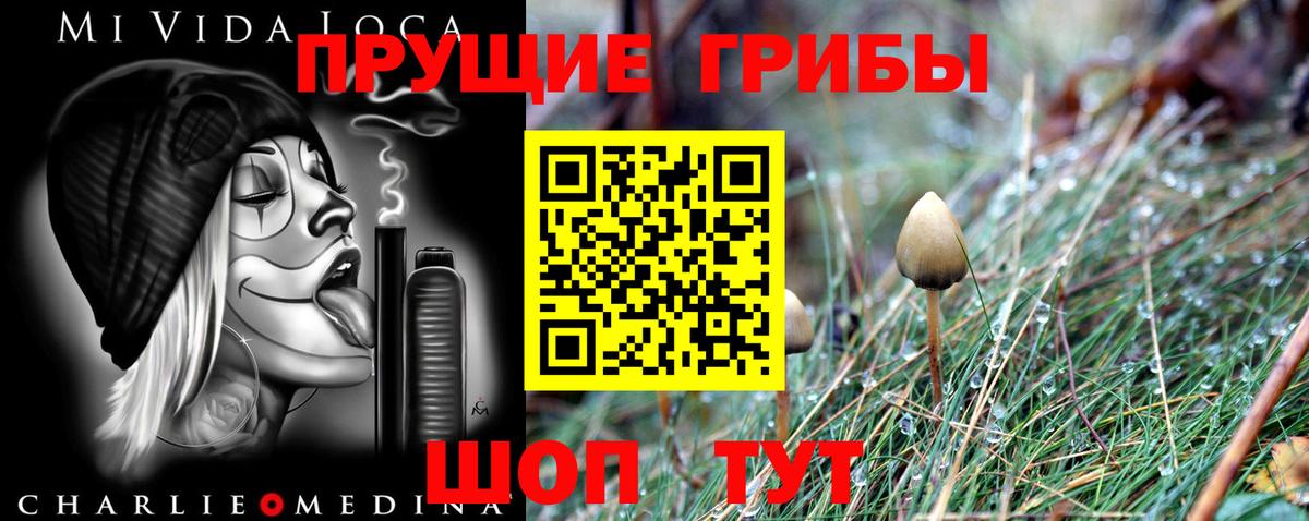Киржач  Галлюциногенные грибы прущие грибы  Вход с VPN  Псилоцибиновые грибы MAGIC MUSHROOMS 